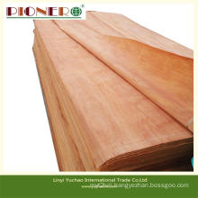 Good Quality Natural Plb Veneer for Plywood Making